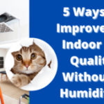 5 Ways to Improve My Indoor Air Quality Without a Humidifier