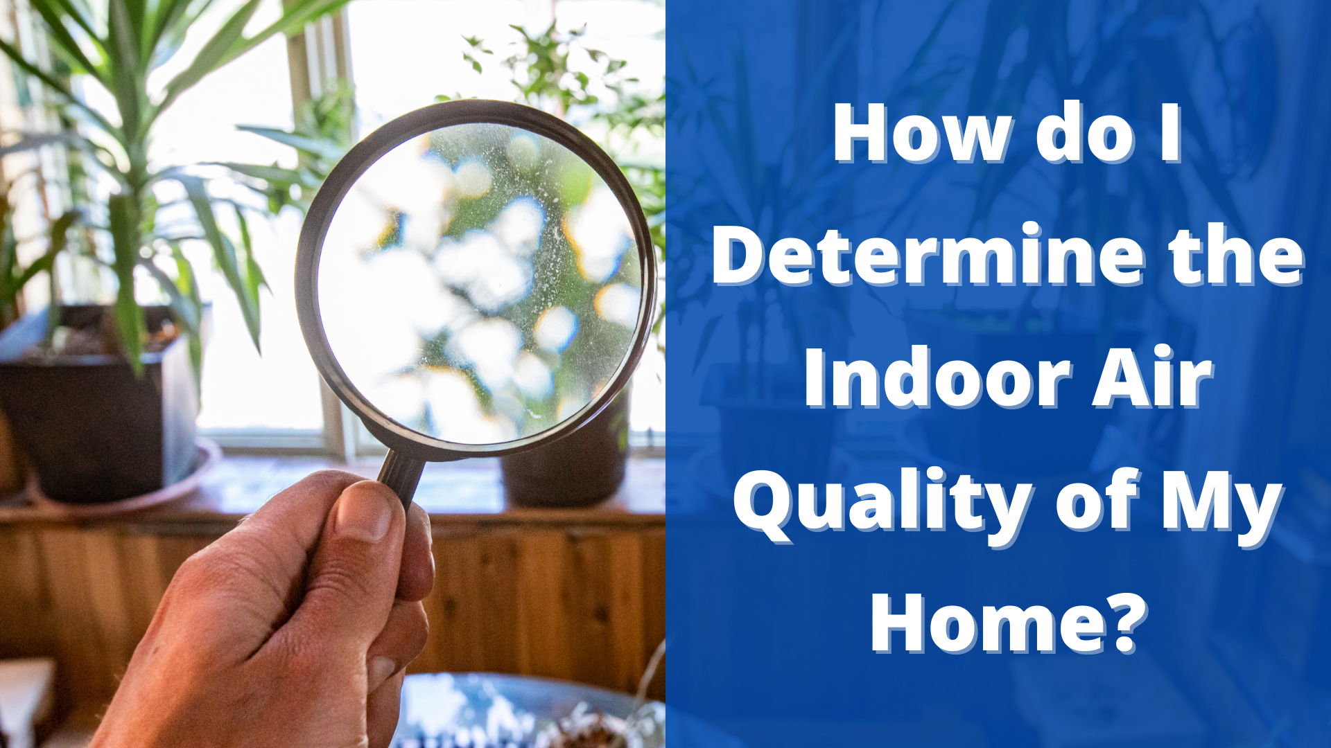 How do I Determine the Indoor Air Quality of My Home