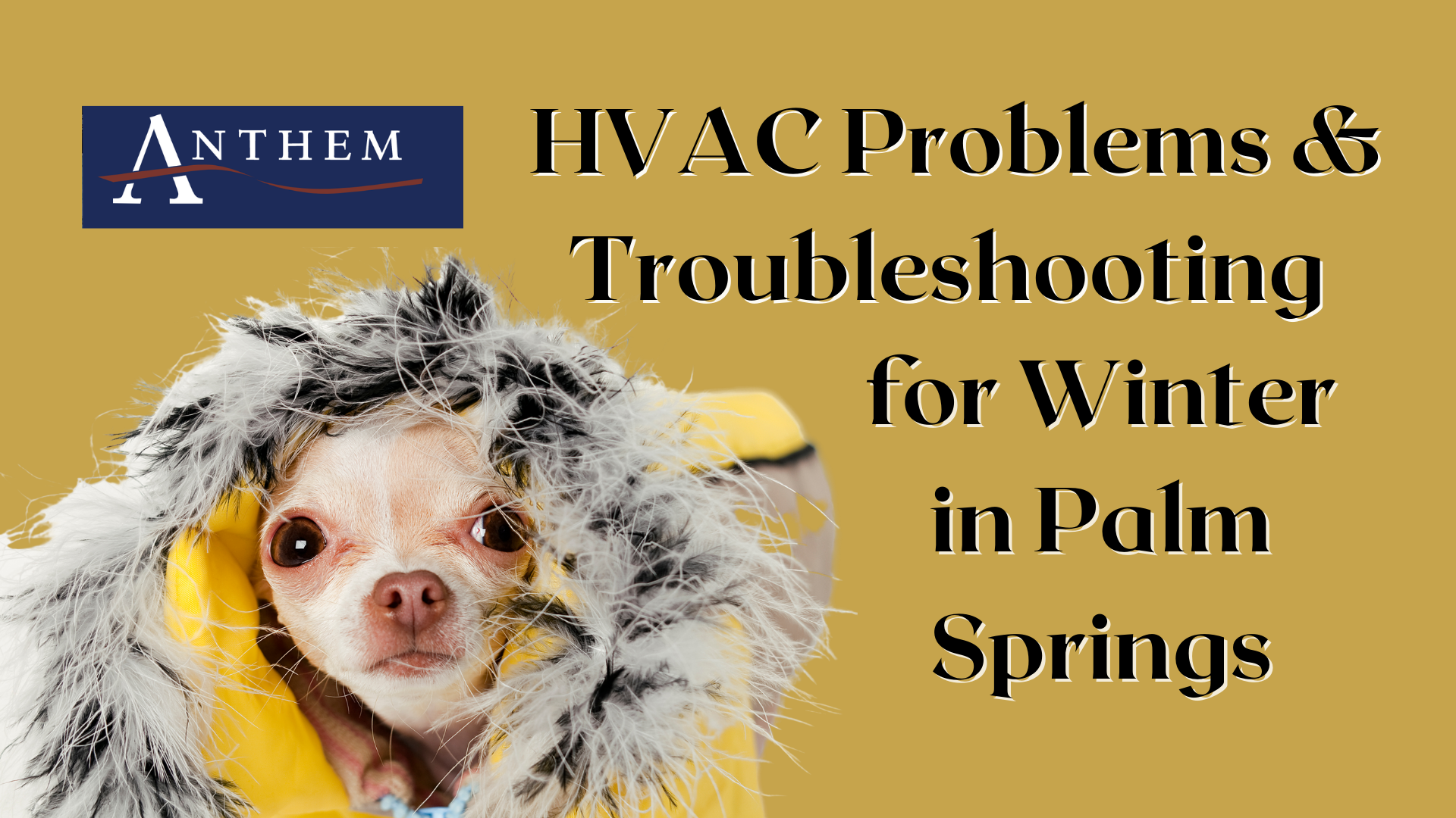 HVAC Problems and Troubleshooting for Winter in Palm Springs