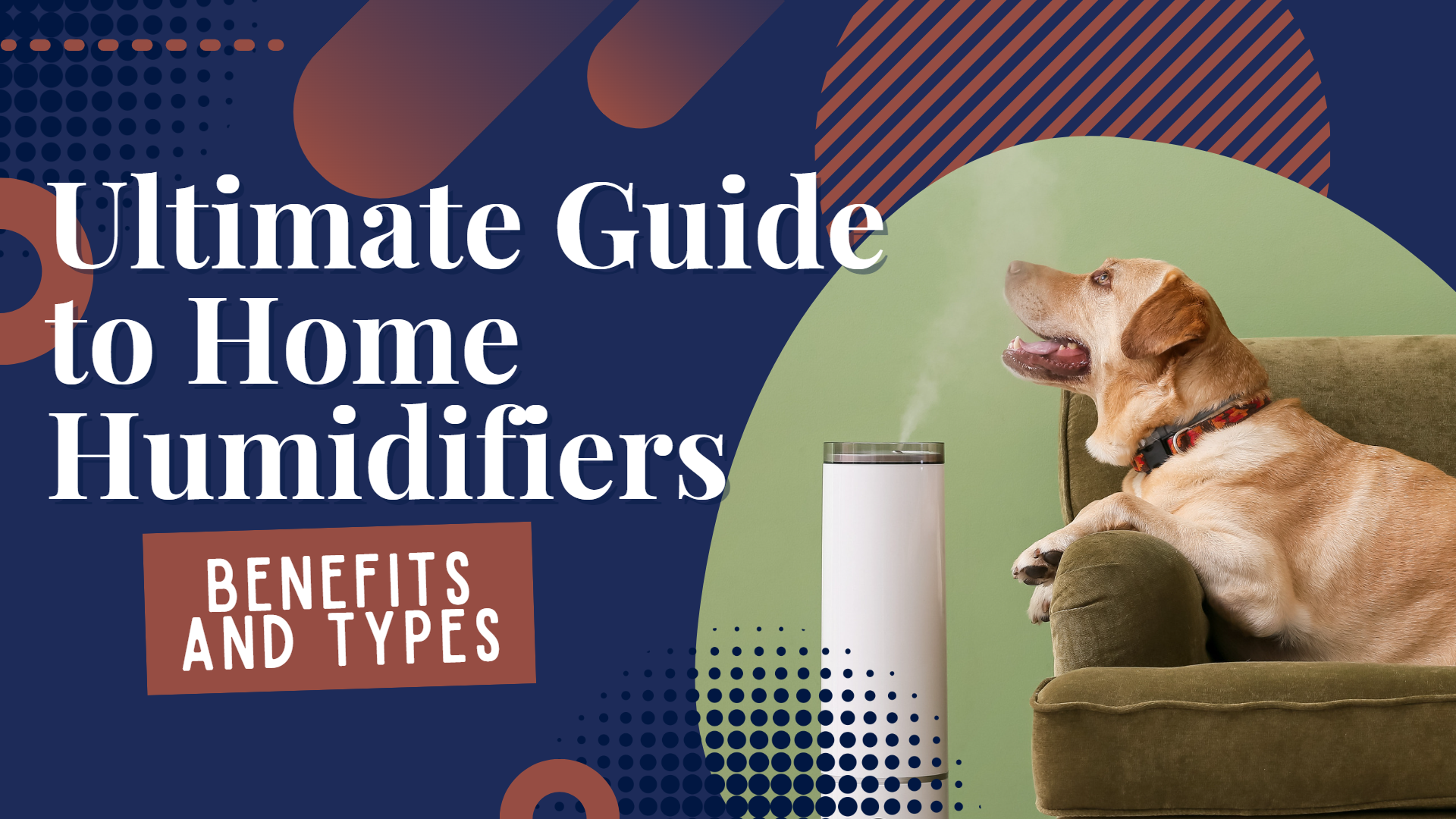 Ultimate Guide to Home Humidifiers: Benefits and Types