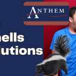 AC Smells Solutions: Effective Remedies for Unpleasant Odors