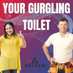 Your-Gurgling-Toilet.png